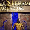 Explore DubaiâS Lost Chambers Aquarium: Tickets For One, Two, Or Four Dubai - Image 20